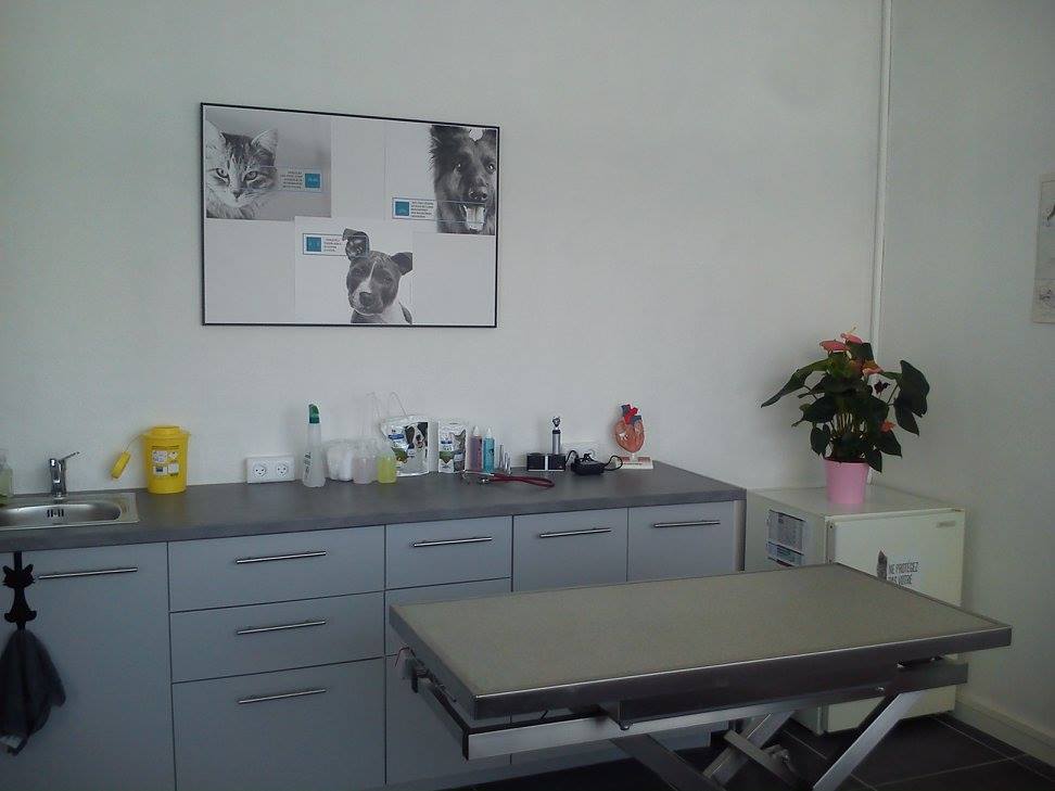 <h1>Salle de consultation : consultation de médecine générale, de prévention ou pré-anesthésique.</h1>