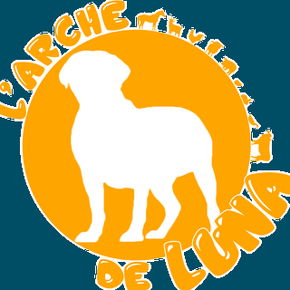logo arche de luna
