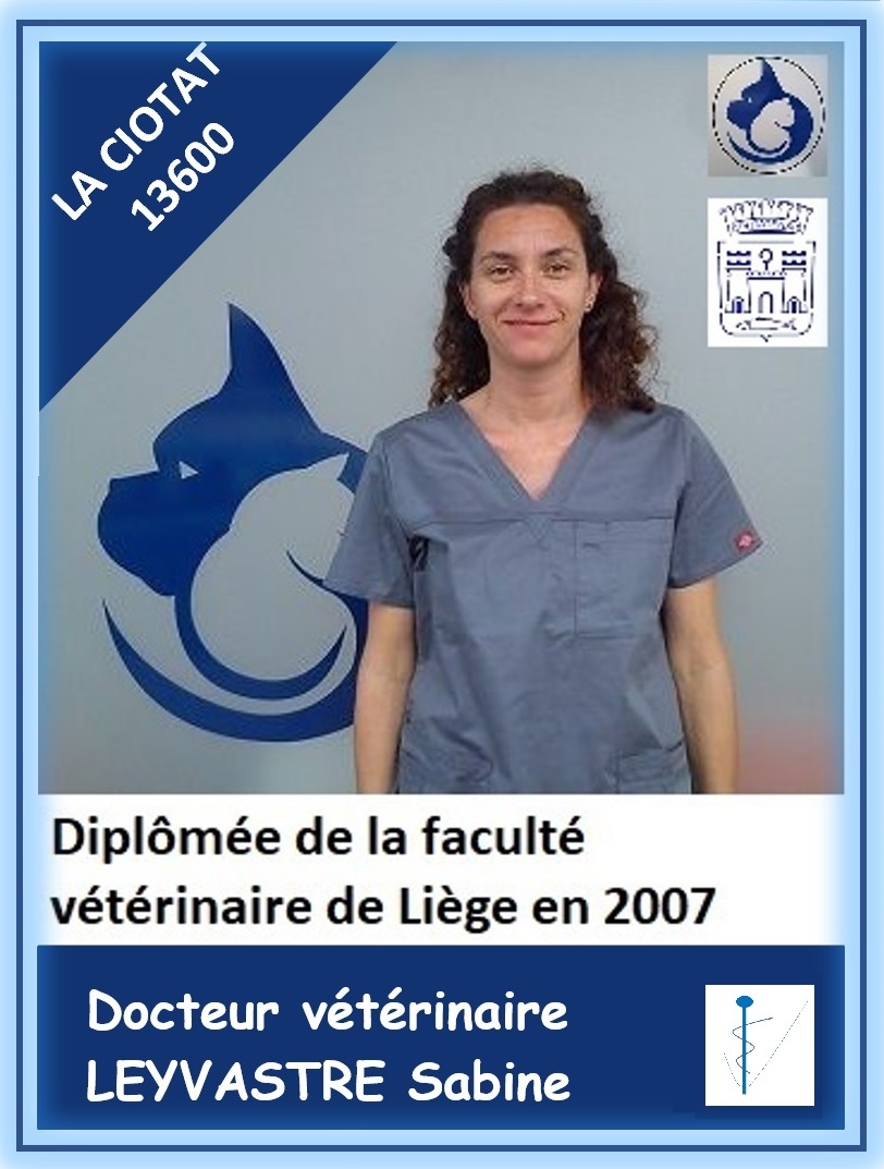 Vétérinaire